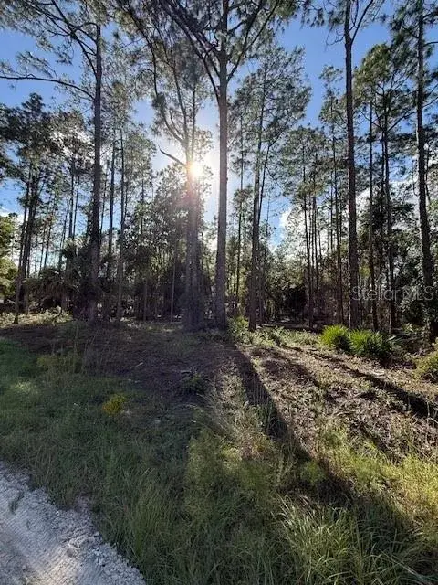 Property for sale at 215 HIDEAWAY LANE, GEORGETOWN, FL, 32139