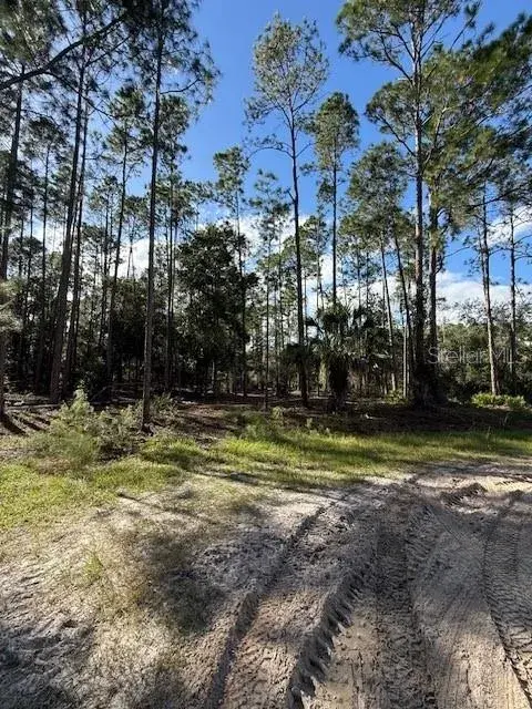 Property for sale at 215 HIDEAWAY LANE, GEORGETOWN, FL, 32139
