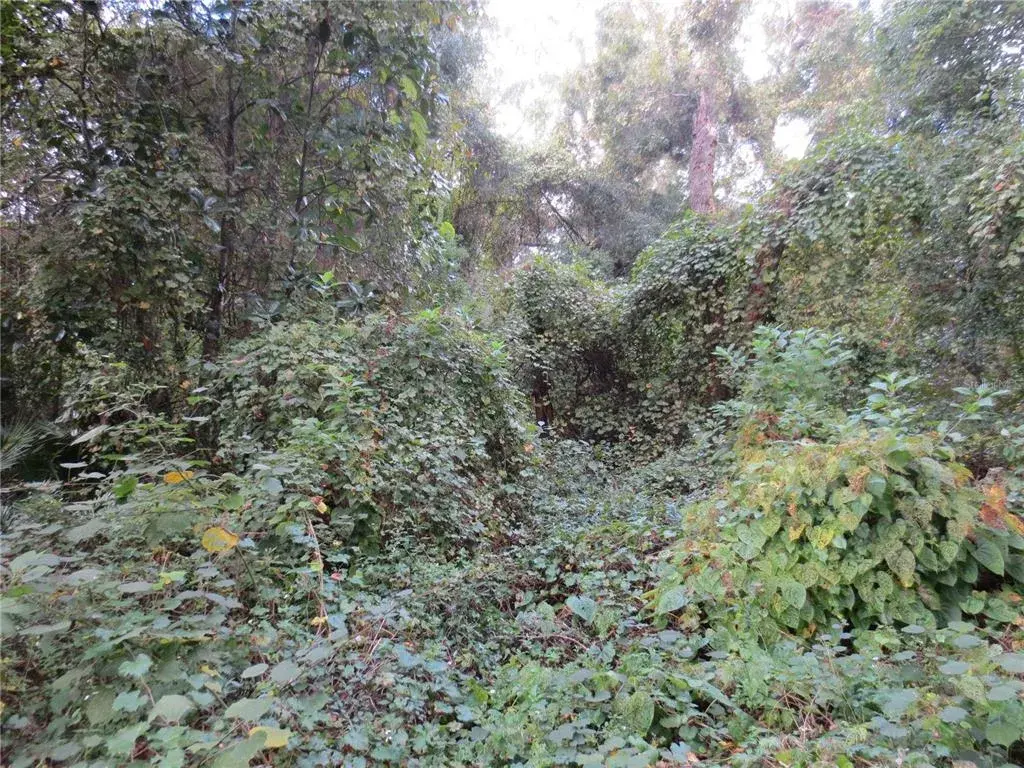 Property for sale at 0 NE 174TH COURT, SILVER SPRINGS, FL, 34488