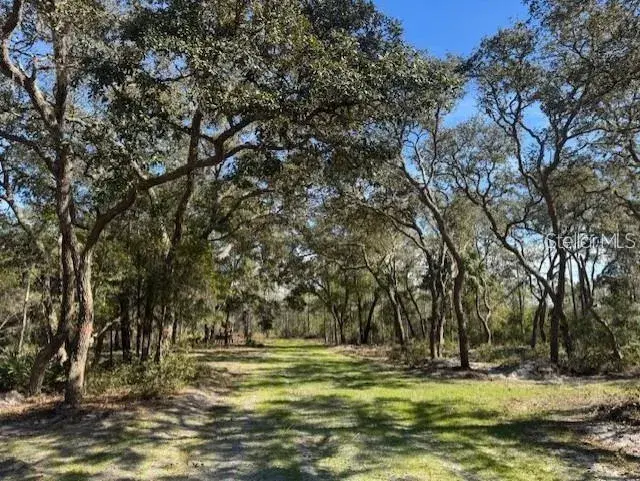 Property for sale at NE 150TH AVE ROAD LOT 1, FORT MC COY, FL, 32134