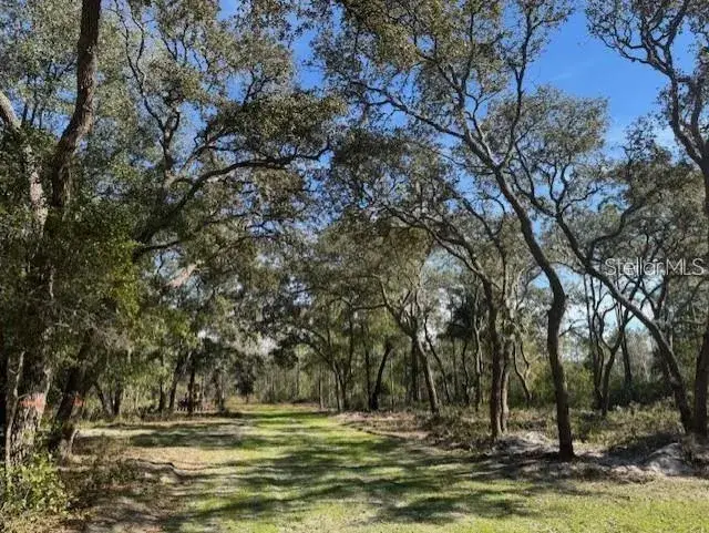 Property for sale at NE 150TH AVE ROAD LOT 1, FORT MC COY, FL, 32134