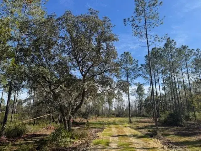 Property for sale at NE 150TH AVE ROAD LOT 1, FORT MC COY, FL, 32134