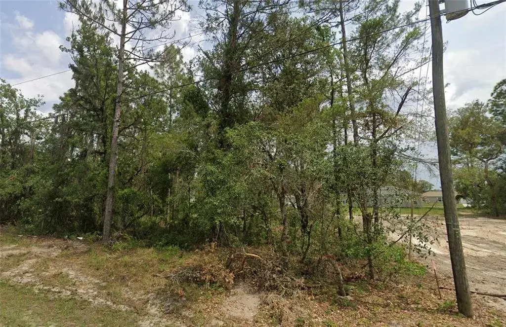 Property for sale at 6820 SW 153RD PLACE ROAD, OCALA, FL, 34473