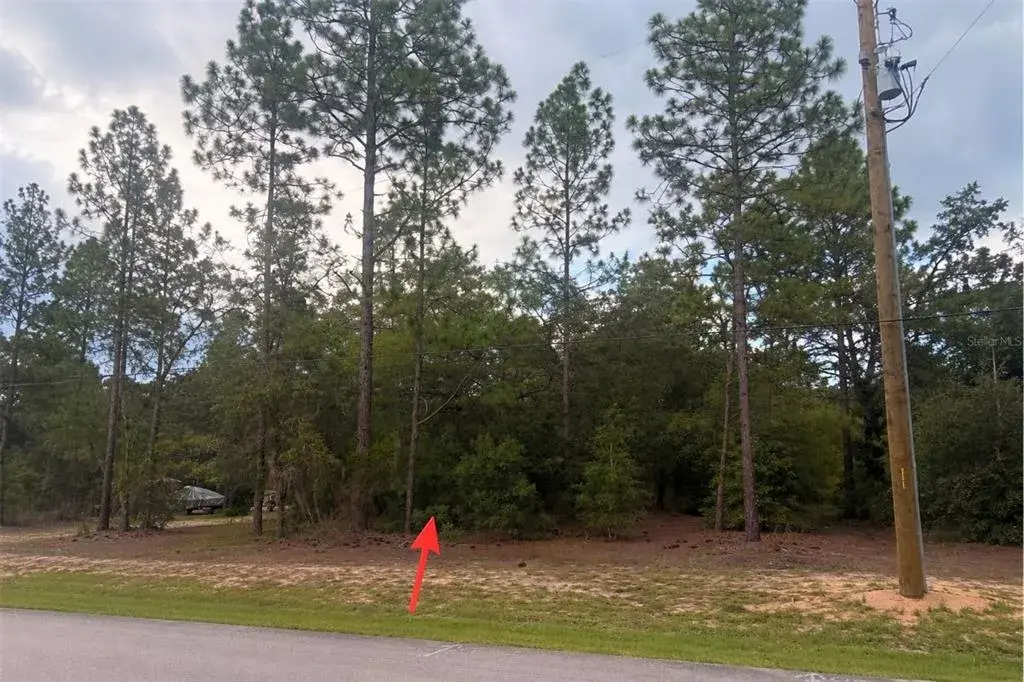 Property for sale at 67xx SW 207TH COURT, DUNNELLON, FL, 34431