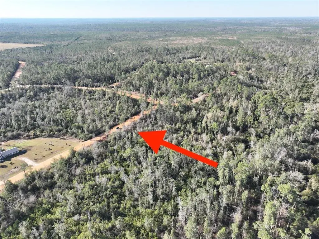 Property for sale at BIENVILLE COURT, ALFORD, FL, 32420