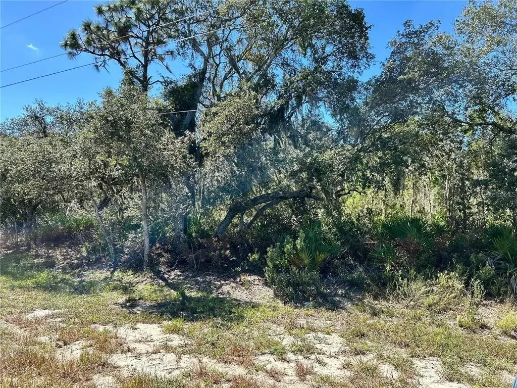 Property for sale at WOODSTORK WAY, FROSTPROOF, FL, 33843