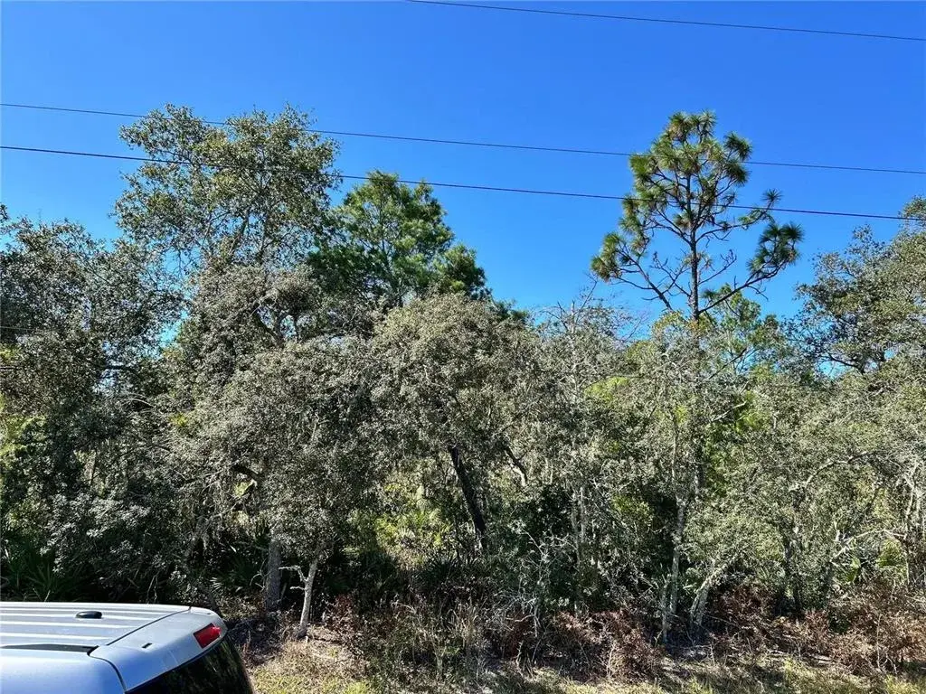 Property for sale at WOODSTORK WAY, FROSTPROOF, FL, 33843