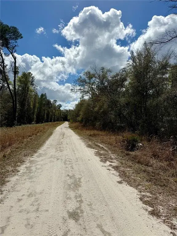Property for sale at TBD NE 110TH COURT, FORT MC COY, FL, 32134
