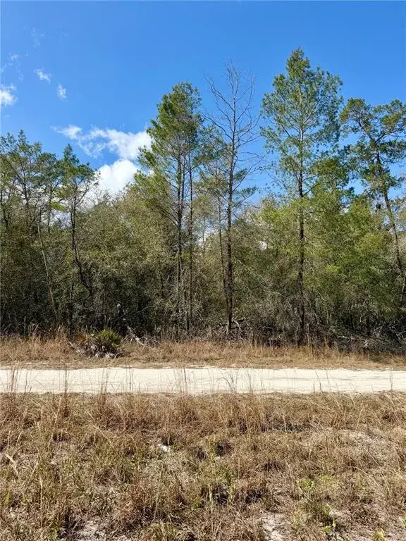 Property for sale at TBD NE 110TH COURT, FORT MC COY, FL, 32134