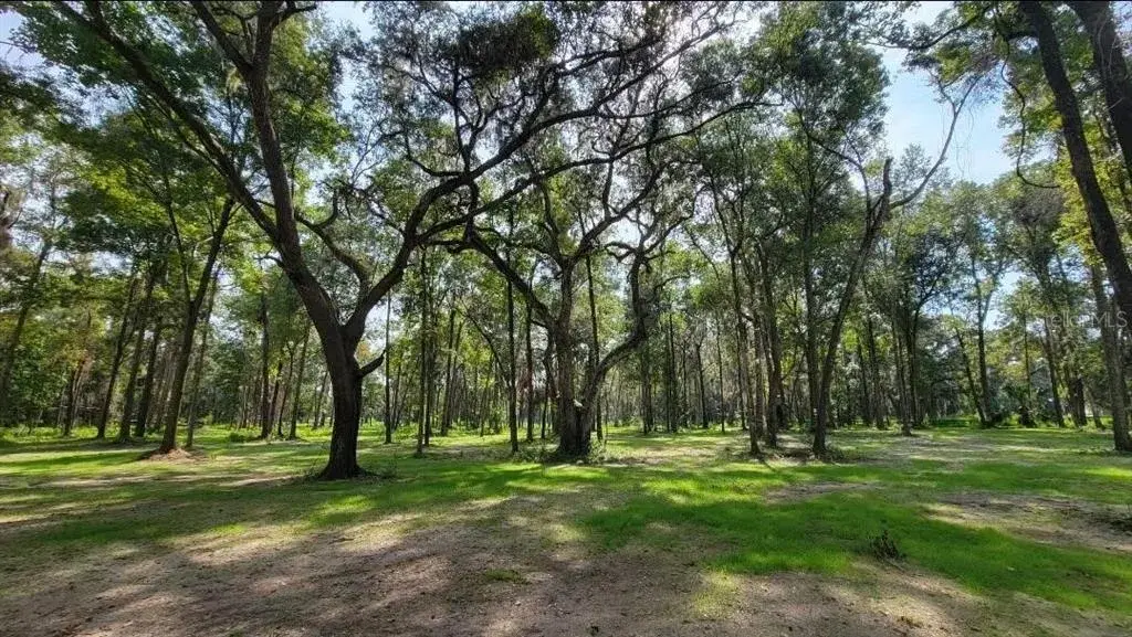 Property for sale at NW 128TH TERRACE Lot 37, REDDICK, FL, 32686