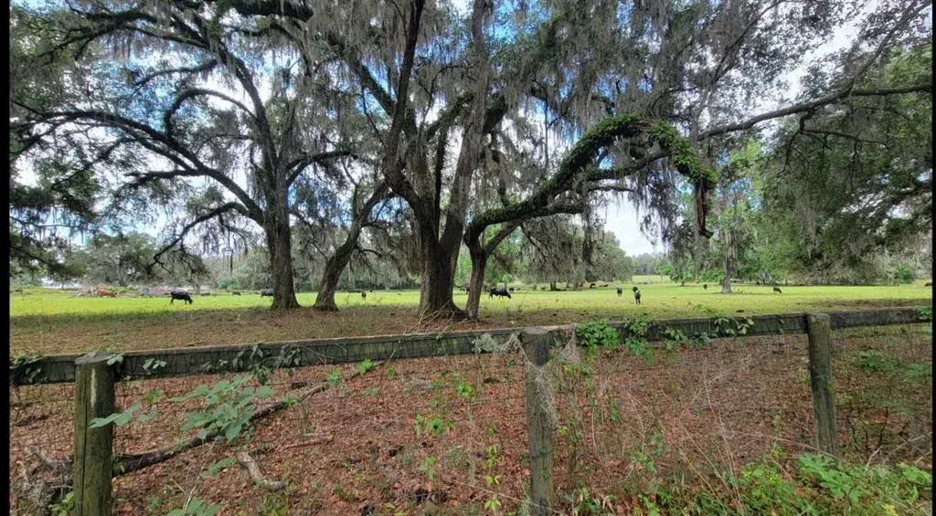 Property for sale at NW 128TH TERRACE Lot 37, REDDICK, FL, 32686