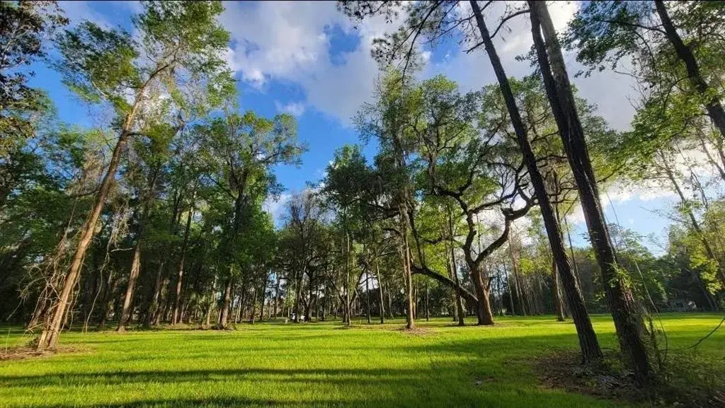 Property for sale at NW 128TH TERRACE Lot 37, REDDICK, FL, 32686