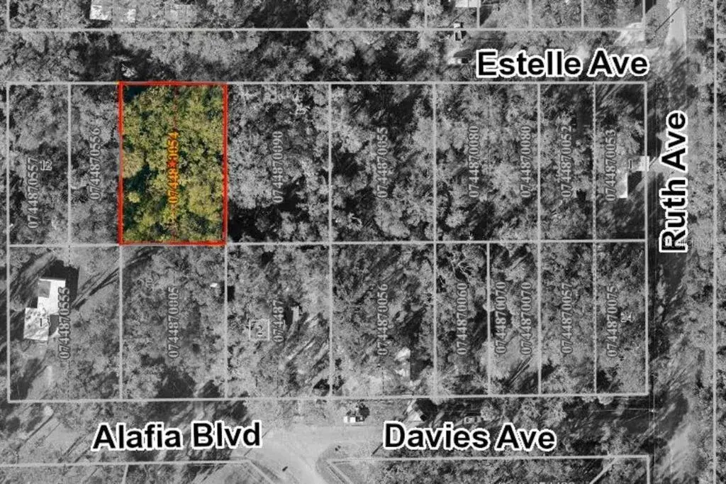 Property for sale at 931 ESTELLE AVENUE, BRANDON, FL, 33511