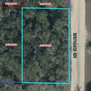Property for sale at Lot 2 NE 160TH AVE, WILLISTON, FL, 32696