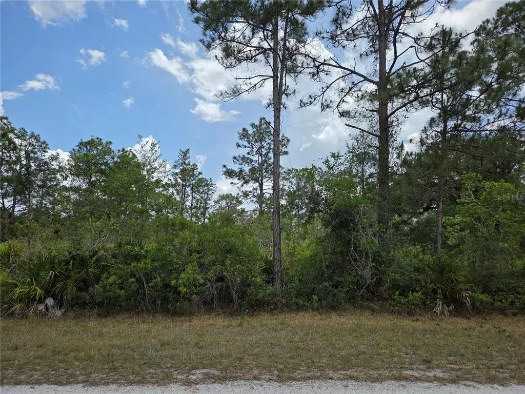 915 Laguna Dr front lot view 2