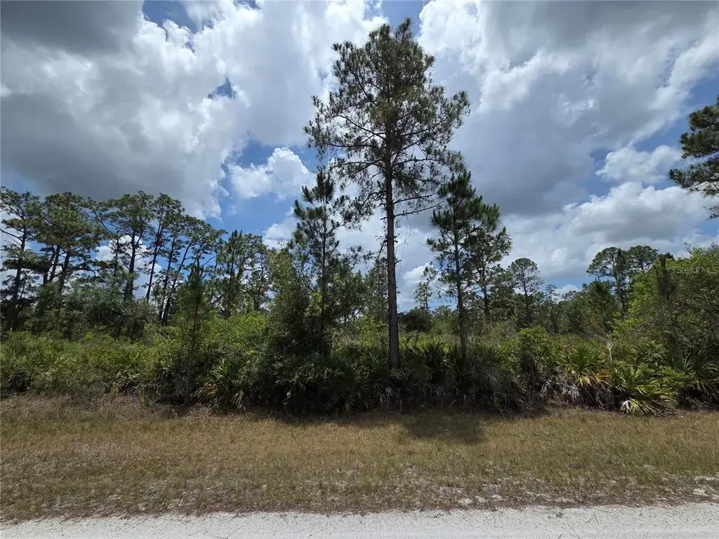 913 Laguna Dr front lot view
