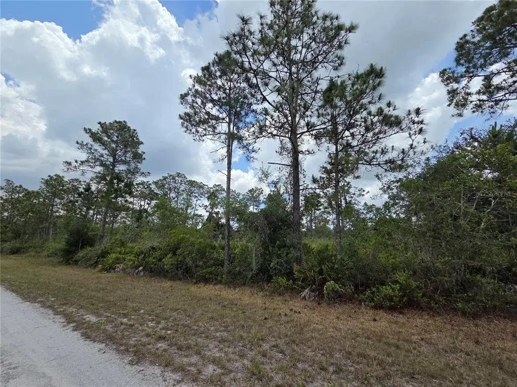 915 Laguna Dr lot angle view 2
