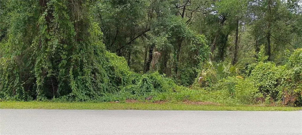 Property for sale at 1876 BLACKWELDER ROAD, DE LEON SPRINGS, FL, 32130