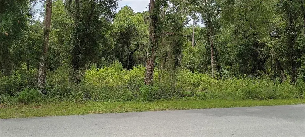 Property for sale at 1876 BLACKWELDER ROAD, DE LEON SPRINGS, FL, 32130