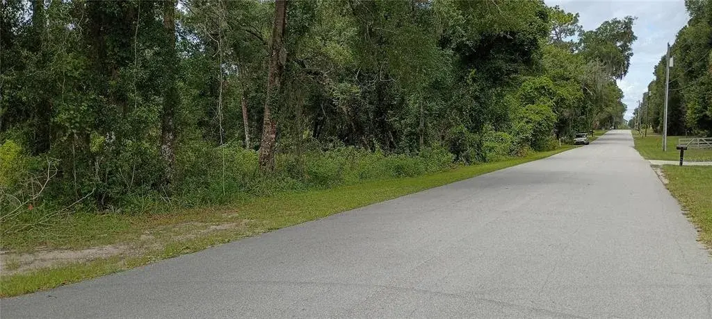 Property for sale at 1876 BLACKWELDER ROAD, DE LEON SPRINGS, FL, 32130