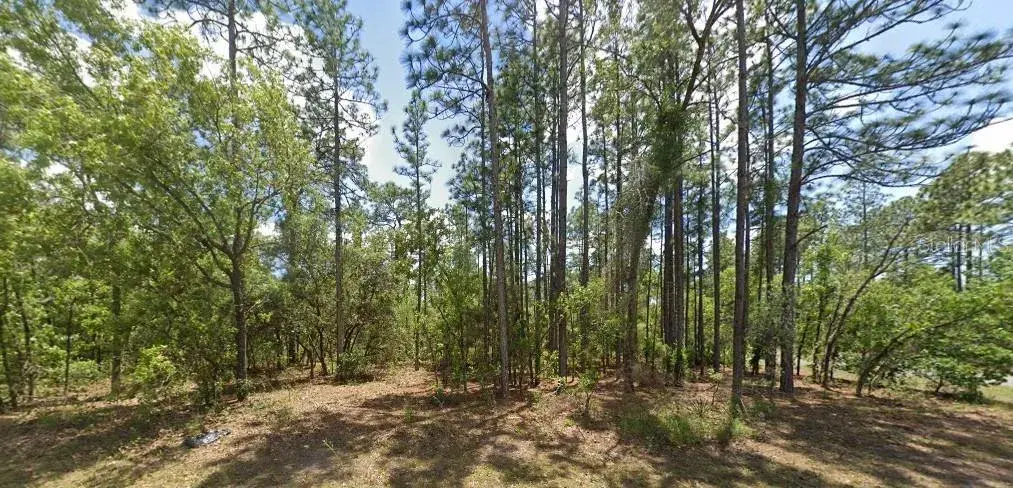 Street Google view
