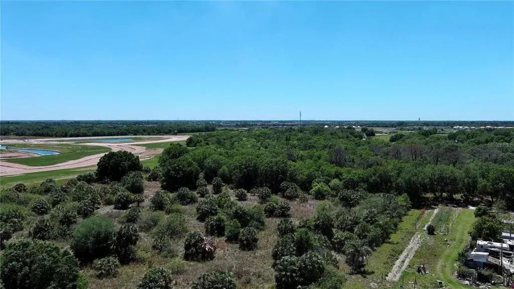 Large clearing on the North end of the property.
