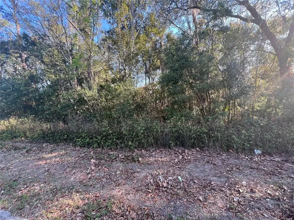 Property for sale at NE 14TH STREET, OCALA, FL, 34470