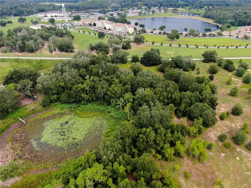 Property for sale at TBD LOT 7 KEENE ROAD, ALTOONA, FL, 32702