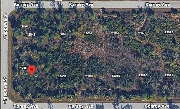 Property for sale at 12042 CONROY AVE, PORT CHARLOTTE, FL, 33981