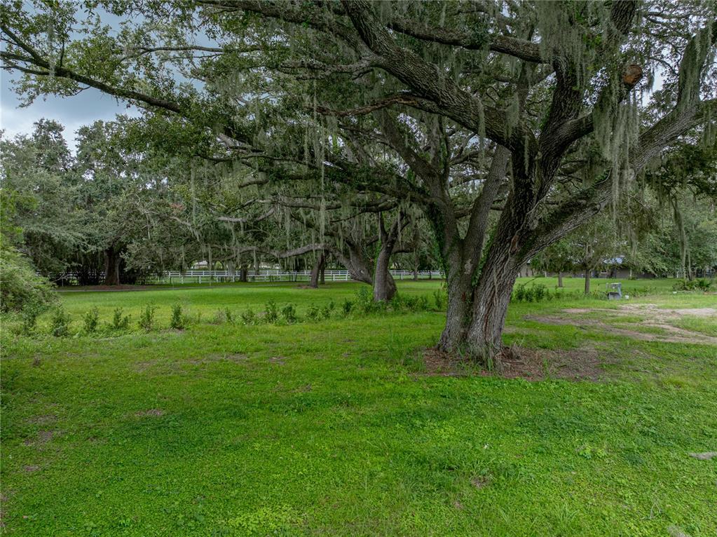 Property for sale at OLD BERKLEY ROAD, AUBURNDALE, FL, 33823