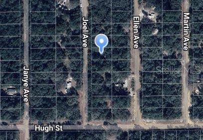Property for sale at JOEL AVENUE, INTERLACHEN, FL, 32148