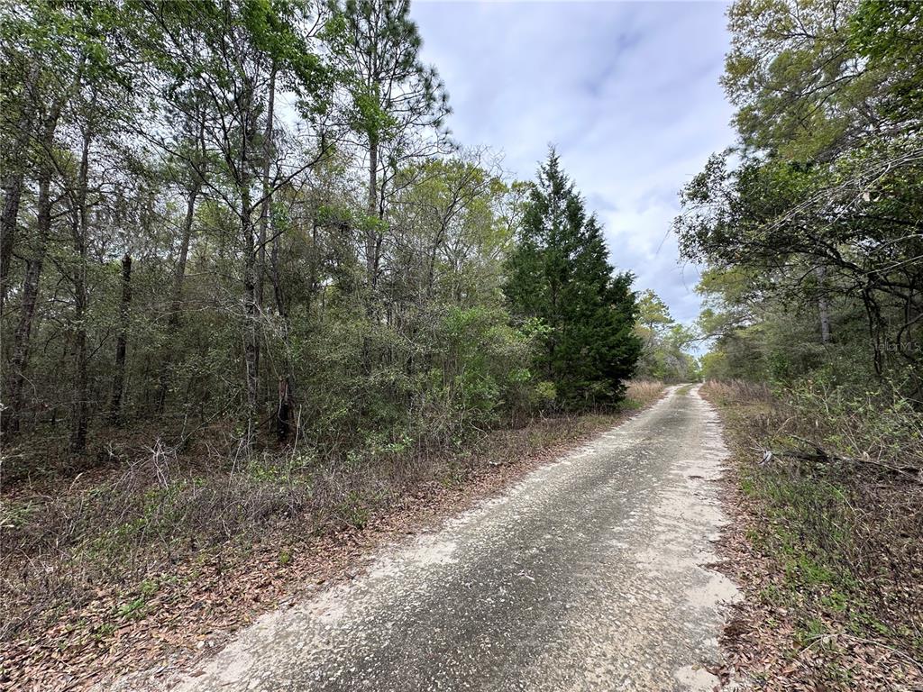 Property for sale at 176 NE 155TH COURT, WILLISTON, FL, 32696