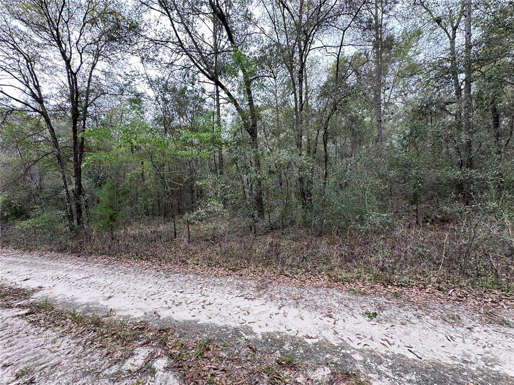 Property for sale at 176 NE 155TH COURT, WILLISTON, FL, 32696