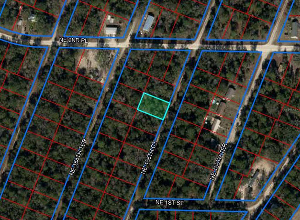 Property for sale at 176 NE 155TH COURT, WILLISTON, FL, 32696