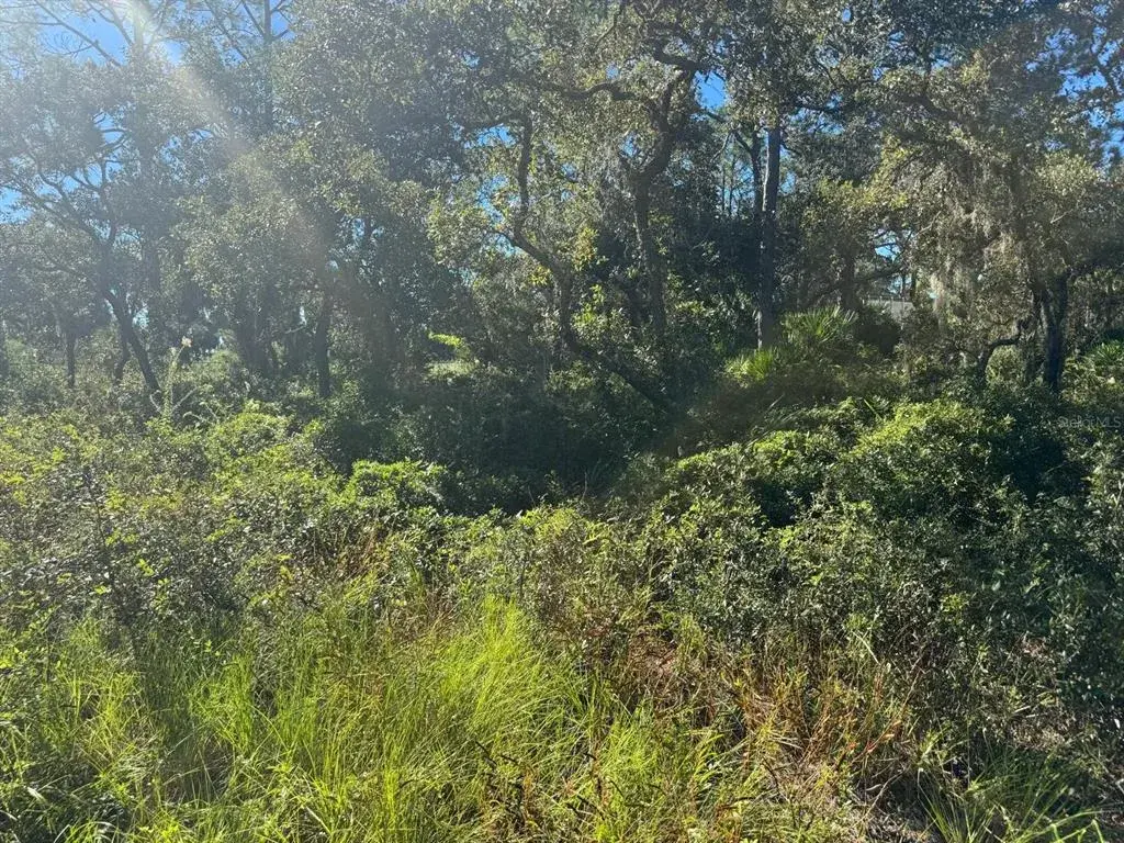 Property for sale at SW 133RD STREET, CEDAR KEY, FL, 32625