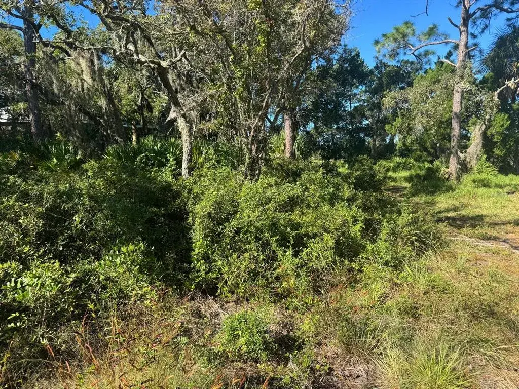 Property for sale at SW 133RD STREET, CEDAR KEY, FL, 32625