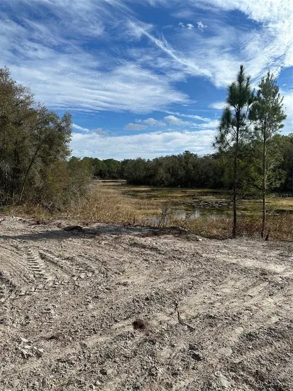 Property for sale at BERRYHILL DRIVE, WEBSTER, FL, 33597