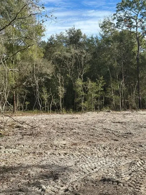 Property for sale at BERRYHILL DRIVE, WEBSTER, FL, 33597