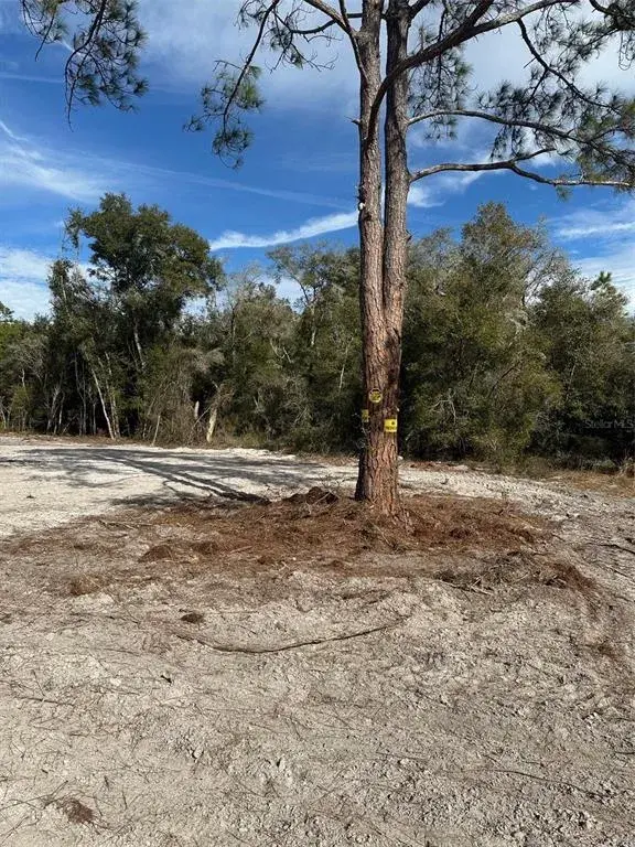 Property for sale at BERRYHILL DRIVE, WEBSTER, FL, 33597