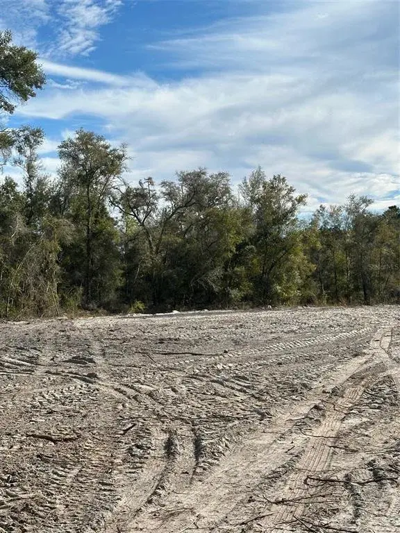Property for sale at BERRYHILL DRIVE, WEBSTER, FL, 33597