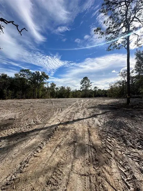 Property for sale at BERRYHILL DRIVE, WEBSTER, FL, 33597