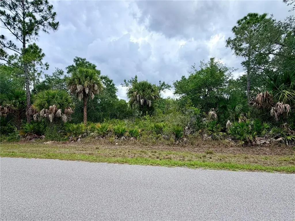 Lot view