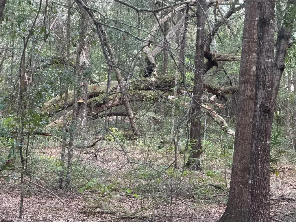 Property for sale at 5967 NE 63RD STREET, SILVER SPRINGS, FL, 34488