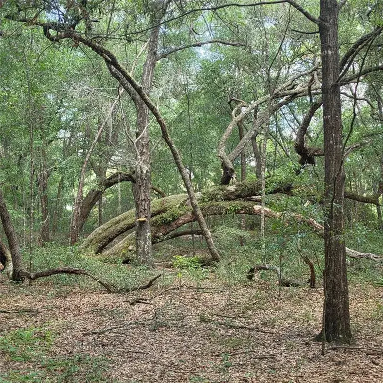 Property for sale at 5967 NE 63RD STREET, SILVER SPRINGS, FL, 34488