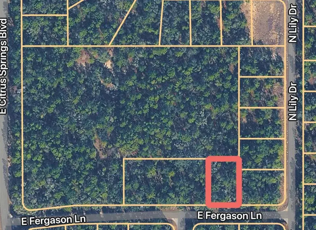 Property for sale at 1409 E FERGASON LANE, DUNNELLON, FL, 34434