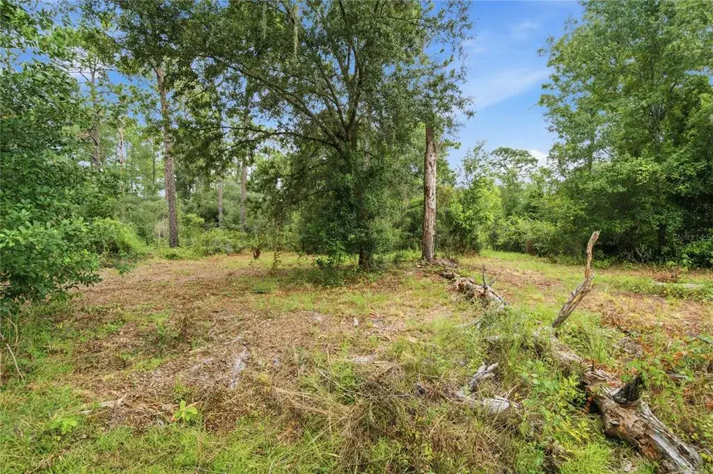 Property for sale at 8565 SW 156TH PLACE, DUNNELLON, FL, 34432