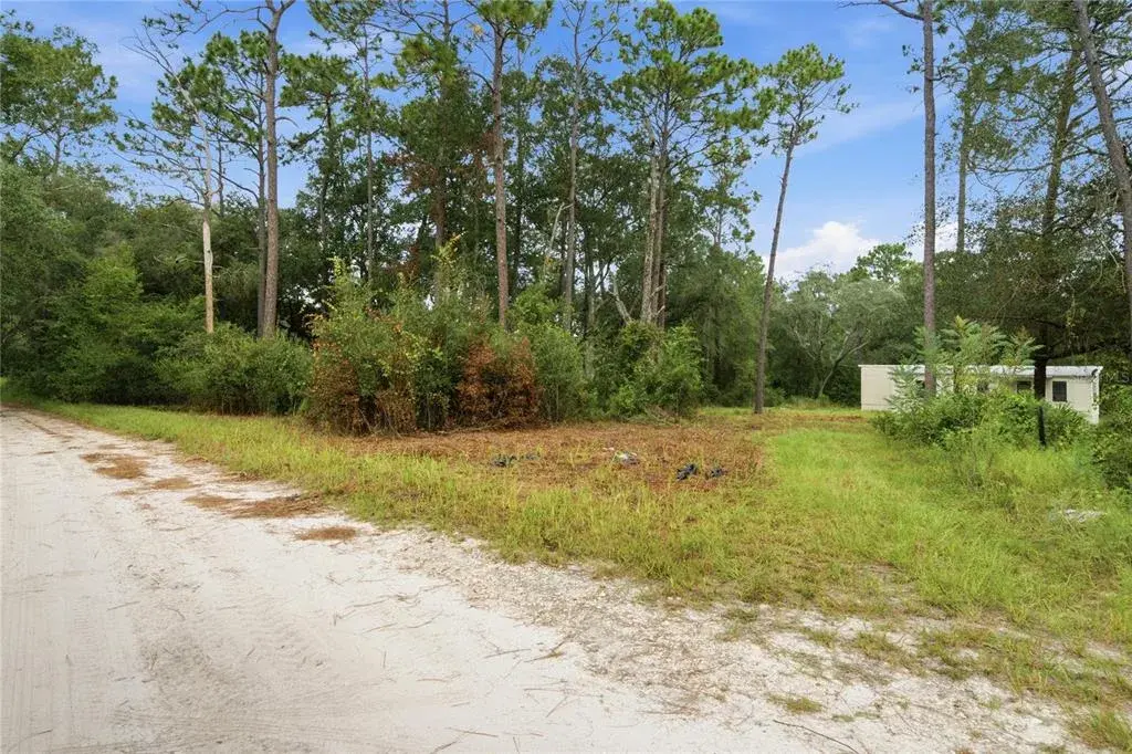 Property for sale at 8565 SW 156TH PLACE, DUNNELLON, FL, 34432