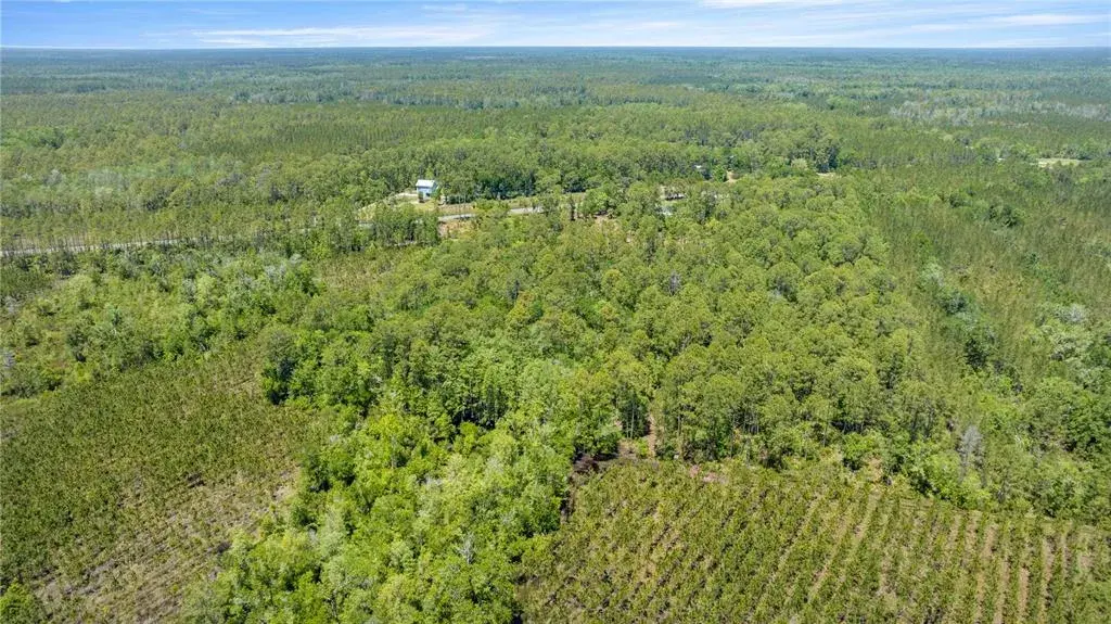 Property for sale at 1351 SW STATE ROAD 24, CHIEFLAND, FL, 32626