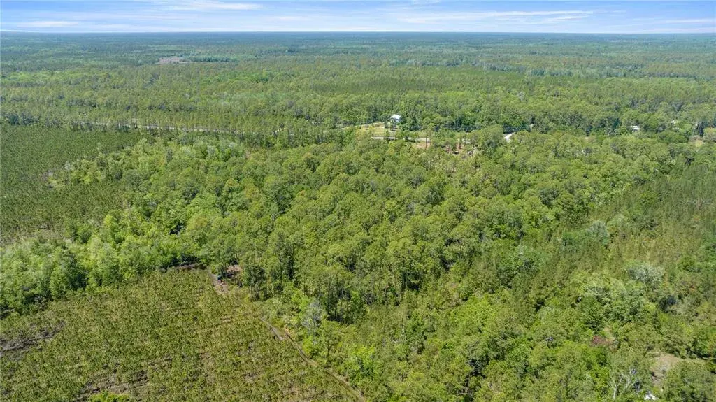 Property for sale at 1351 SW STATE ROAD 24, CHIEFLAND, FL, 32626