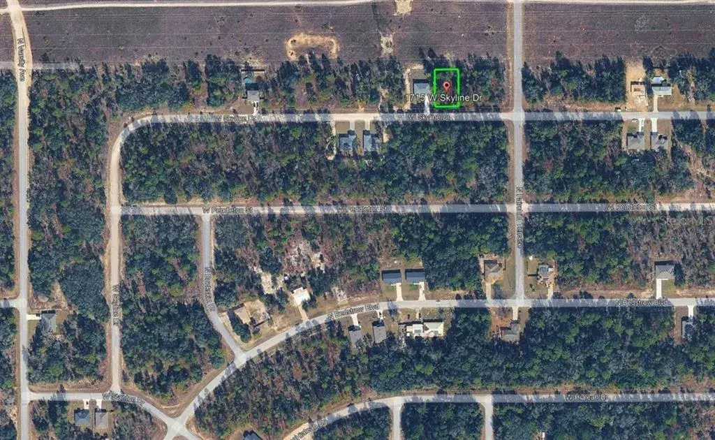 Property for sale at 1715 W SKYLINE DRIVE, CITRUS SPRINGS, FL, 34434